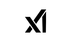 X AI